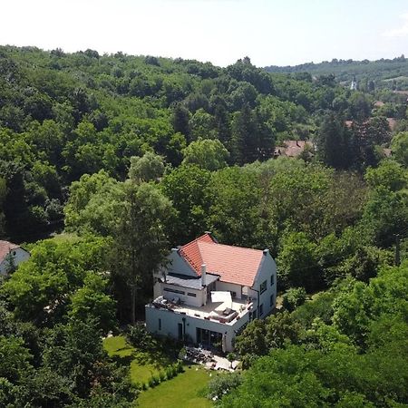 Villa Viridis Buekkalja Borsodgeszt Exteriör bild