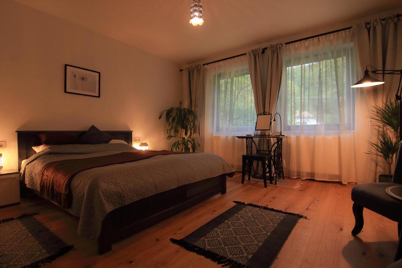 Villa Viridis Buekkalja Borsodgeszt Exteriör bild