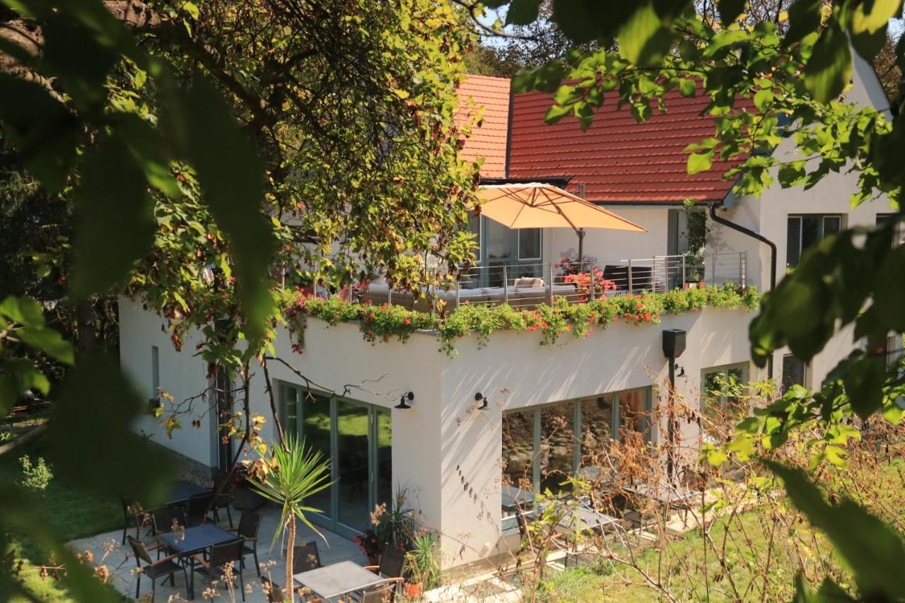 Villa Viridis Buekkalja Borsodgeszt Exteriör bild