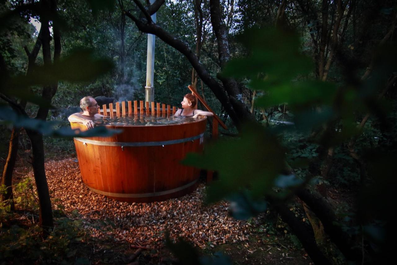 Villa Viridis Buekkalja Borsodgeszt Exteriör bild