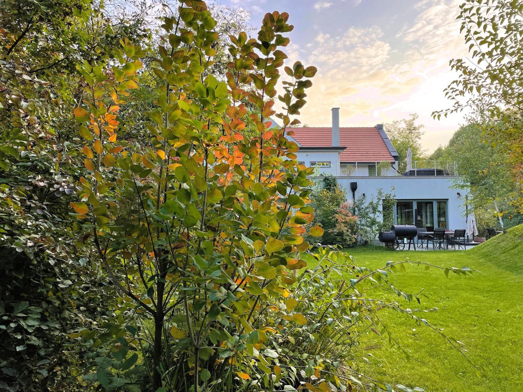 Villa Viridis Buekkalja Borsodgeszt Exteriör bild