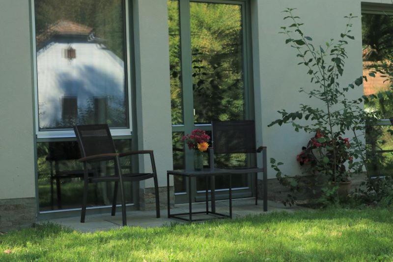 Villa Viridis Buekkalja Borsodgeszt Exteriör bild